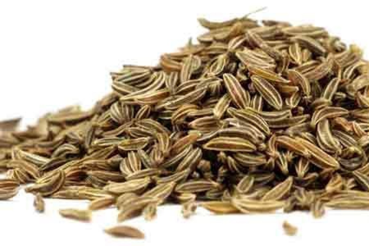 Cumin Seeds from India
